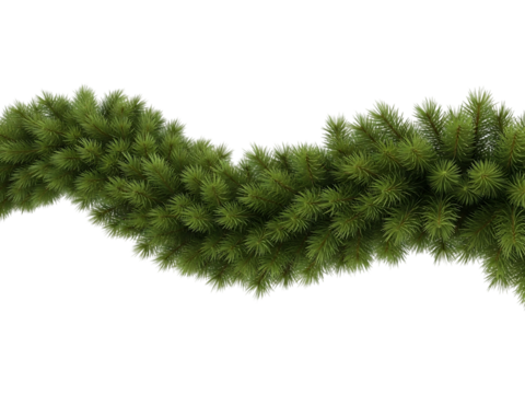 Aerial view of a dense evergreen forest canopy isolated on transparent background