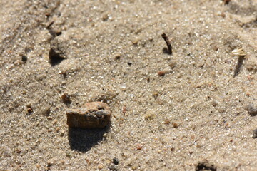 Sand on the beach in the summer, closeup of photo