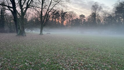 misty park in late autumn