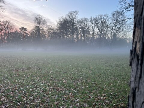 misty park in late autumn - Powered by Adobe