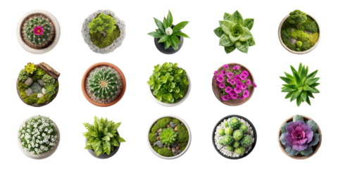 Assorted Potted Plants And Succulents Set. Indoor Gardening And Home Decor Collection Isolated On Transparent Background