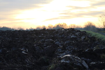 Furrows in the Dawn