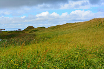 Coastal grass dunes under cloudy sky