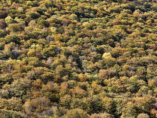Beautiful colorful autumn scenery along the Piva River. Montenegro