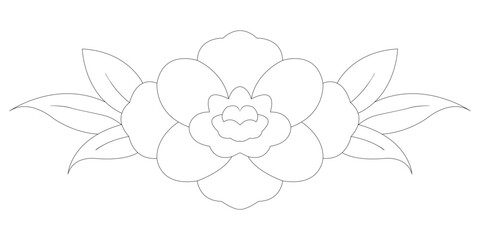 Elegant outline of a camellia flower with leaves isolated on transparent background