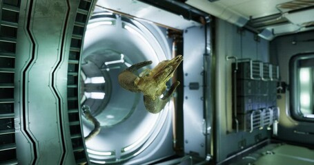A unique ram skull floats effortlessly within the controlled atmosphere of the international space station, surrounded by advanced technology and the vastness of space.