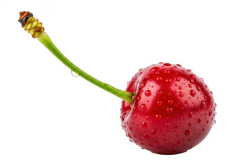 Single ripe red cherry with water droplets freshly picked sweet fruit healthy food transparent background