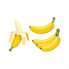 Delicious banana vector illustration tropical fruit with peeled banana artwork