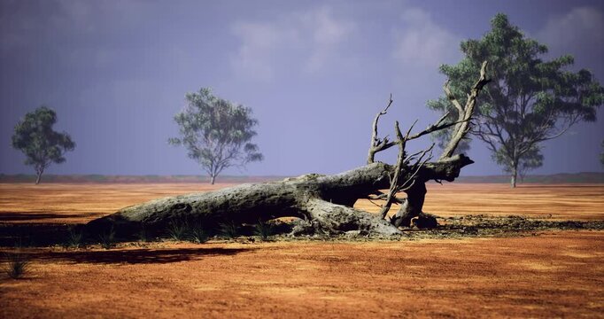A majestic fallen tree rests upon the dry earth, surrounded by sparse vegetation and distant trees.