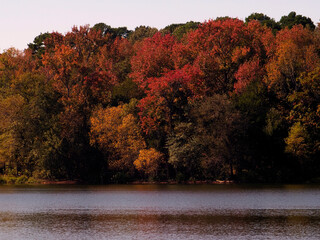 Autumn Trees Along A Lake_1010300