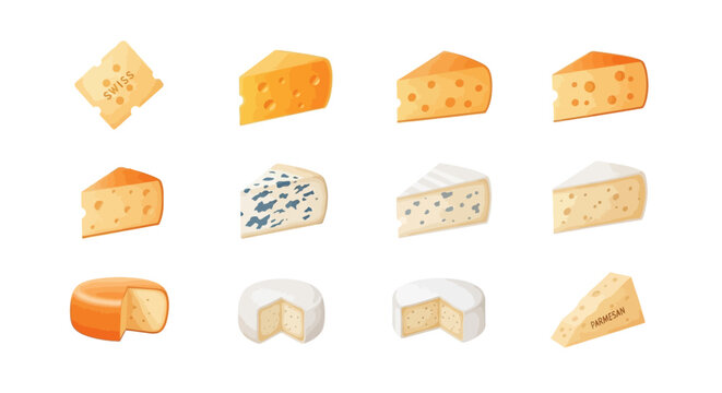 Various types of cheese wedges and wheels in a cartoon style illustration.