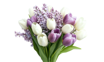 Romantic Bouquet of Lilac and White Tulips Bridal Style on Transparent Background