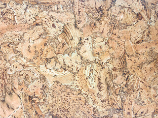 High-resolution texture of cork mosaic composed of irregular pieces in warm beige and brown tones. Ideal for backgrounds, walls, materials and product design.