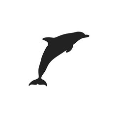 dolphin silhouette vector icon illustration