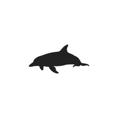 dolphin silhouette vector icon illustration