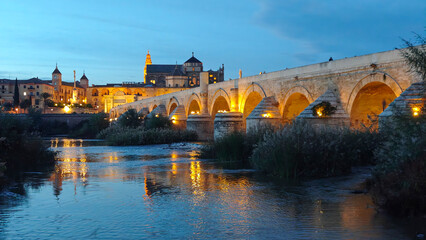 Vista nocturna del puente romano de Cordoba, España