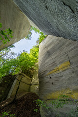 Sunlit Sandstone Walls and Towering Cliffs Framed by Lush Forest Canopy - Dramatic Upward View in a Quarry Gorge