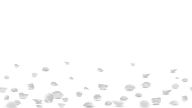 Rose petals fall to the floor. Falling silver rose petals seasonal confetti design for greeting card