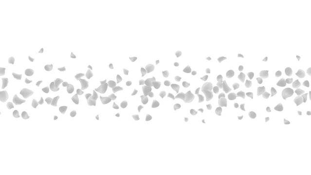 White rose petals swirling on a transparent background, creating romantic and elegant atmosphere