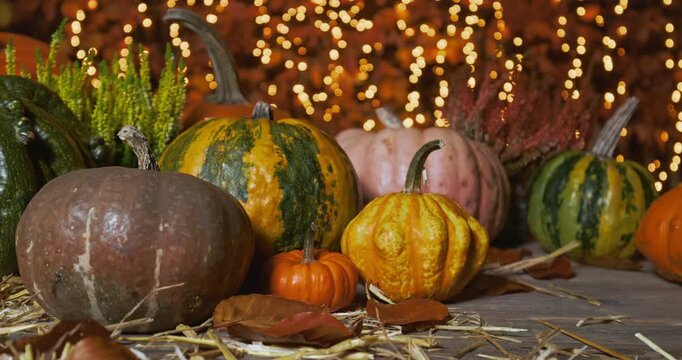 Thanksgiving &ndash; Defocused Pumpkin Arrangement with Festive Bokeh Lights
