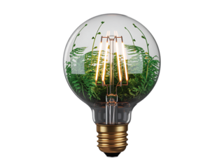 Filament light bulb with green plant isolated on transparent background