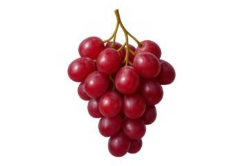 Bunch of fresh red grapes hanging from a vine stem, showcasing healthy and ripe fruit on transparent background