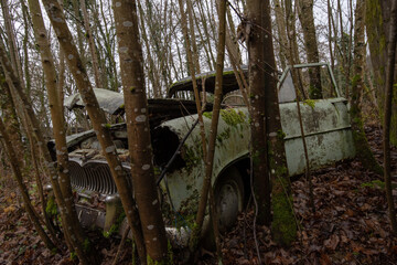 Moss-covered vintage car overtaken by trees in an overgrown French woodland