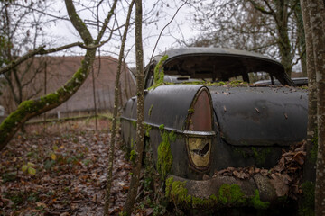 Moss-covered classic car rear with rusted taillight and mossy bumper in an overgrown French yard