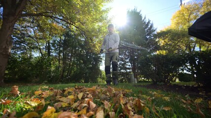 Gardener raking fallen autumn leaves into a pile in a backyard. Seasonal works in garden. Landscape design. Landscaping. 