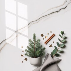 Elegant Holiday Flat Lay with Potted Christmas Tree, Natural Ele
