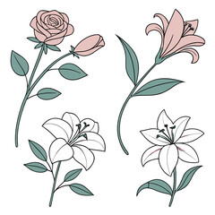 Elegant floral arrangement with rose and lily isolated on