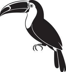 Obraz premium Toucan bird. Black silhouette of an exotic toucan bird isolated on a white background. Vector illustration