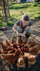 Woman feeding chickens on outdoor farm during golden hour