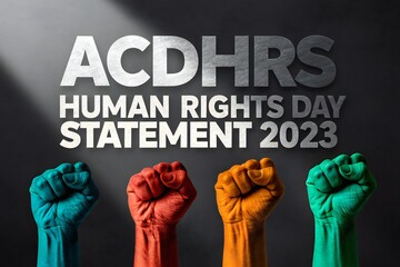 Fists raised in solidarity for Human Rights Day statement, symbolizing unity and advocacy.