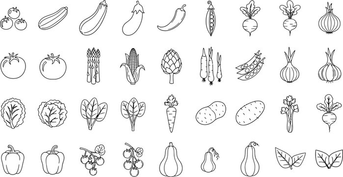 Collection of hand drawn black and white line art illustrations of various vegetables and fruits