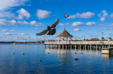 Jesienne molo w Ostródzie 2025 © Krzysiek Cegiełka
