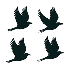 Obraz premium set of silhouettes of birds
