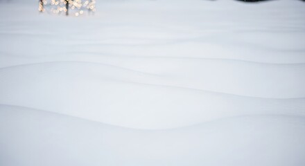 Soft focus pink flower petals scattered on a white textured surface