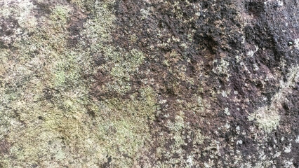 Fototapeta premium Bandung, Indonesia - November 16, 2025: Tree bark texture or natural fibers in light and dark brown vertical stripes. 