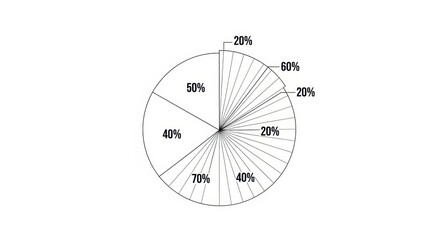 Detailed statistical pie chart analysis with various percentage distributions for data illustration