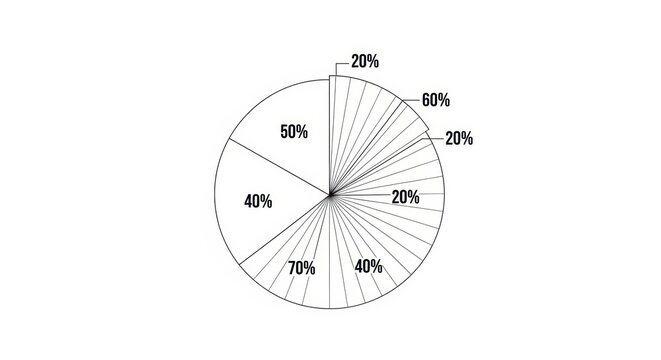 Detailed statistical pie chart analysis with various percentage distributions for data illustration