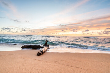 Beautiful orange sunset colors in the sky on the  tropical sandy beach with drift wood log in the foreground © Sulbha