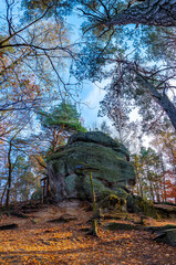 Skamieniałe Miasto Rezerwat Przyrody Nieożywionej na Pogórzu Ciężkowickim © grzegorz_pakula