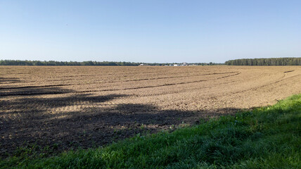 Farmer field after harvest. Plowed land near a forest after harvesting turnips and radishes.