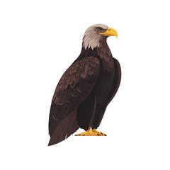 Eagle, 2D flat vector illustration in icon style, isolated on a white background