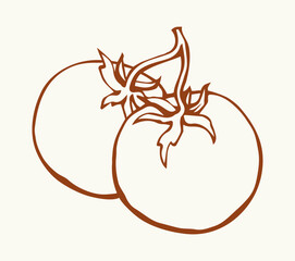 Tomatoes. Vector drawing icon sign