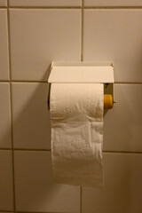 Roll of toilet paper hangs from a wall-mounted holder in a tidy bathroom. The setting features white tiles and a simple design, providing a functional space for personal care