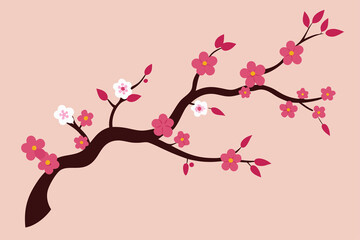 Fototapeta premium Blooming cherry branch