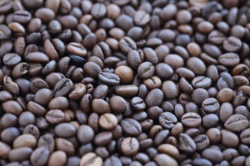 Roasted coffee beans background in warm dark scene close up