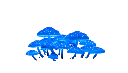 Glowing blue mushrooms against a stark black background, illuminated with speckled highlights